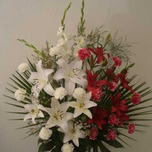 tanatorio-cabeza-del-buey-centros-funebres4