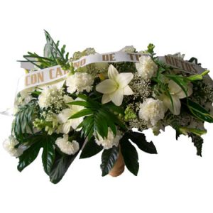 tanatorio-cabeza-del-buey-centros-funebres8