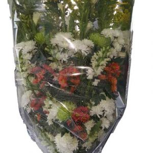 tanatorio-cabeza-del-buey-ramos-funebres2